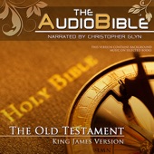 Audio Bible Old Testament.16 Habakkuk - Zepheniah - Haggai - Zechariah - Malachi artwork