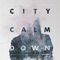 Movements - City Calm Down lyrics