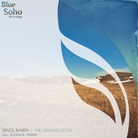 The Leaving Dove - Single - Space Raven