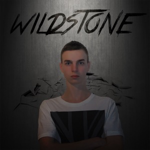 Breaking Records with DJ Wildstone #3