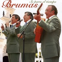 Brumas - Me Acuerdo de Ti