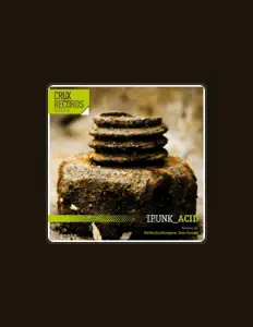 聆聽 iPunk、觀看音樂影片、閱讀小傳、查看巡演日期等！