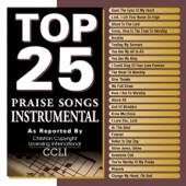 Top 25 Praise Songs: Instrumental artwork