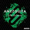 Stream & download Life Echoes - Single