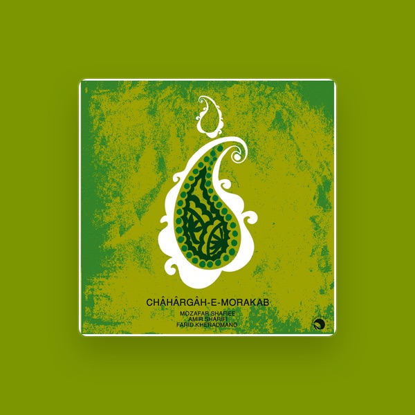 Mozaffar Shafiee's avatar