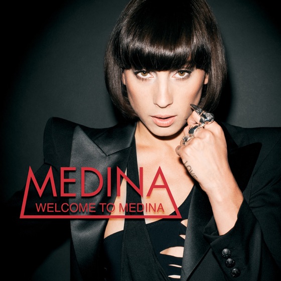 Cover artwork for The One