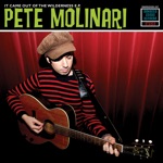 Pete Molinari - It Came Out of the Wilderness