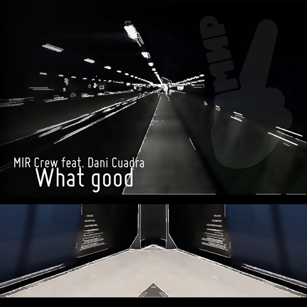 What Good (feat. Dani Cuadra) - Single
