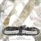 Backyard Sessions 1 - EP ジャケット写真