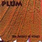 Bone People - Plum lyrics