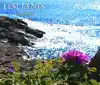 Tim Janis - The White Mountains