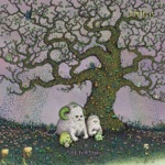 Wide Awake by J Mascis