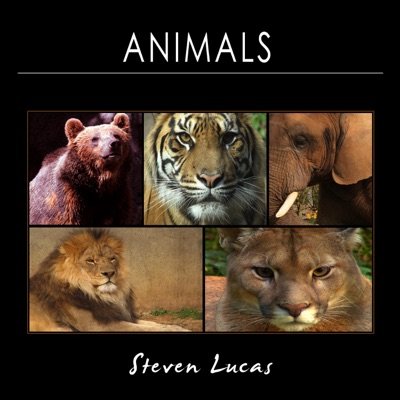 Animals-thumbnail