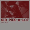 Sir Mix-A-Lot - Baby Got Back