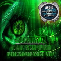 Catnapped / Phenomenon V.I.P - Single - Olly F