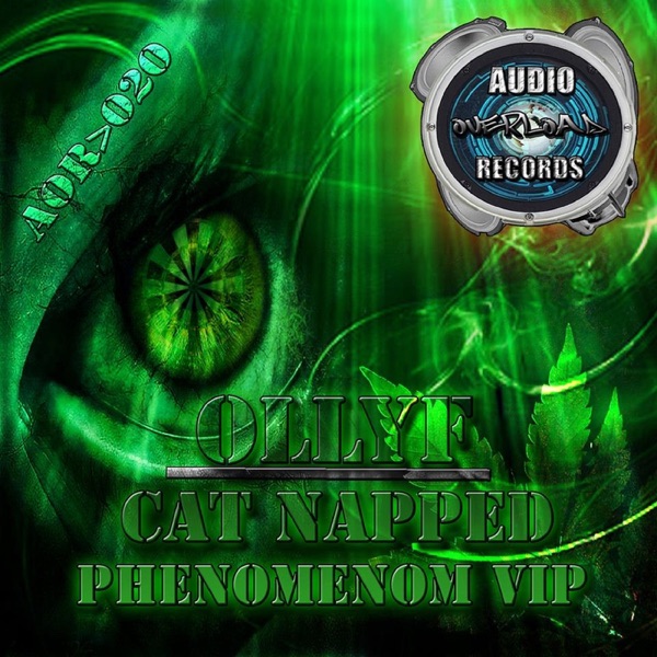 Catnapped / Phenomenon V.I.P - Single