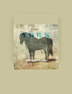 Escucha a York, mira vídeos musicales, lee la biografía, consulta fechas de giras y mucho más.