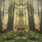 Tiger Waves (feat. Marco Benevento) - Damn Right lyrics