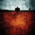 The Widow