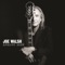 One Day At a Time - Joe Walsh lyrics