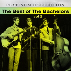 WORLD OF THE BACHELORS VOL.2 cover art