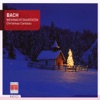 Bach: Chistmas Cantatas