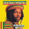 Worshipping Your Love - Senzo