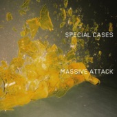 Massive Attack - Special Cases (Radio Edit)
