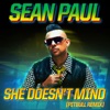 She Doesn't Mind (Pitbull Remix) - Single