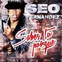 Sabes Tu Porque - Single - Seo Fernandez