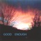 Good Enough - I hate cats