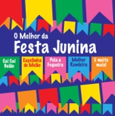 O Melhor Da Festa Junina artwork