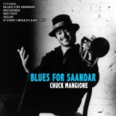 Blues for Saandar artwork