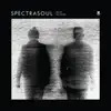 SpectraSoul - Light in The Dark (feat. Terri Walker)
