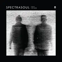 Light in The Dark (feat. Terri Walker) — SpectraSoul