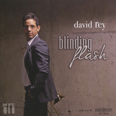 Blinding Flash - David Rey & Geert Callaert: Song Lyrics
