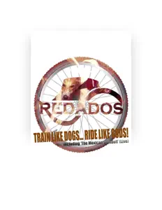 聆聽 Redados、觀看音樂影片、閱讀小傳、查看巡演日期等！