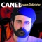 Gözlerimde Hayalin - Canel lyrics