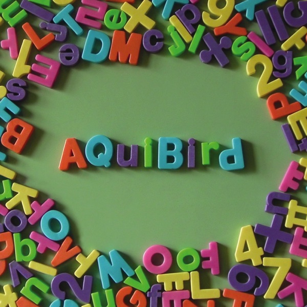 Aquibird – Now I Understand – EP