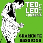 Sharkbite Sessions - Single