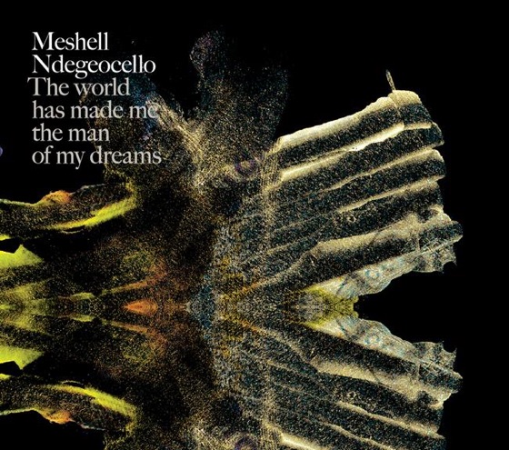 Cover artwork for Evolution
