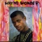 Suspicious Mind (feat. Marcia Griffiths) - Wayne Wonder lyrics