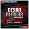 Wood Samba - Cesar Almena lyrics