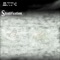 Auld Tree - Wold lyrics