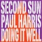 Doing It Well (Cedric Gervais Remix) - Second Sun & Paul Harris lyrics