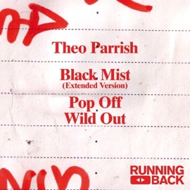 Black Mist (Extended Version) Theo Parrish
