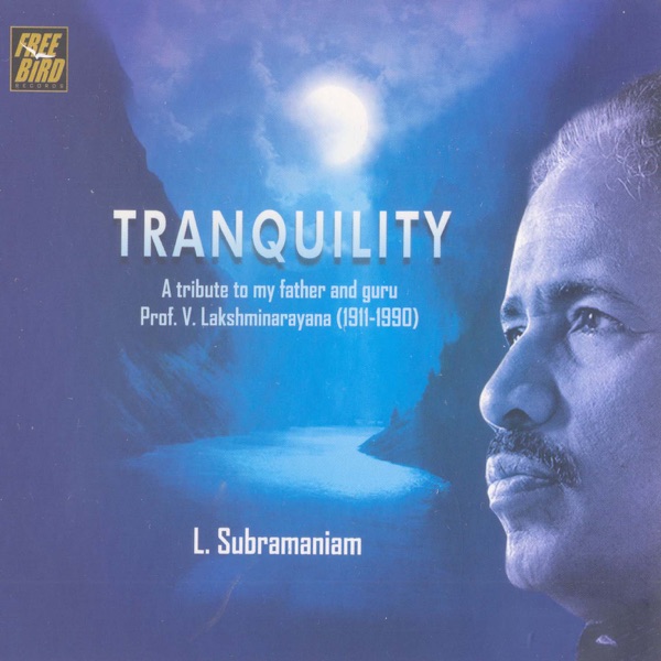 Tranquility -  Violin