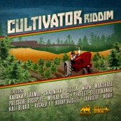 Cultivator Riddim artwork