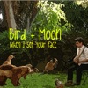 Bird and Moon - Windup Bird