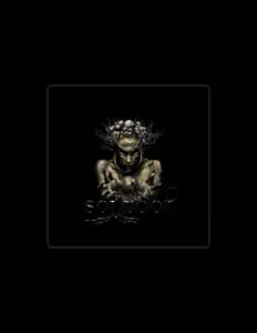 Poslechněte si interpreta Soilroot, sledujte hudební videa, přečtěte si životopis, podívejte se na data turné a další informace.